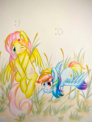 Size: 1920x2560 | Tagged: safe, artist:stardust0130, derpibooru import, fluttershy, rainbow dash, pegasus, pony, :d, blushing, colored pencil drawing, crossed hooves, duo, ear fluff, female, flying, grass, hair accessory, high res, mare, one eye closed, outdoors, pictogram, shy, smiling, spread wings, standing, traditional art, wings, wink