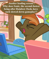 Size: 540x649 | Tagged: safe, artist:jan, derpibooru import, edit, button mash, computer, cropped, curtains, don't mine at night, flower, frustrated, hat, implied rainbow dash, laptop computer, propeller hat, sonic the hedgehog (series), sonic the hedgehog 2006, speech, speech bubble, talking