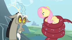 Size: 1053x593 | Tagged: safe, artist:pizza lord, derpibooru import, edit, edited screencap, screencap, discord, fluttershy, pegasus, pony, secret of my excess, coils, female, funny, male, prehensile tail, redraw, size difference