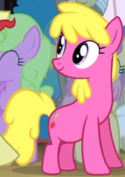 Size: 700x989 | Tagged: safe, derpibooru import, screencap, cherry berry, daisy, flam, flim, flower wishes, saunter sitz, earth pony, leap of faith, cropped, female, flim flam brothers, mare, solo focus