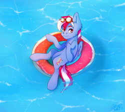 Size: 3800x3400 | Tagged: safe, artist:screaming cat, derpibooru import, oc, oc only, oc:steam loco, pegasus, pony, commission, donut, floating, food, goggles, inflatable, looking at you, male, pegasus oc, smiling, solo, swimming pool, wings, ych result