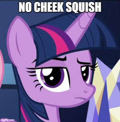 Size: 500x507 | Tagged: safe, edit, edited screencap, screencap, twilight sparkle, twilight sparkle (alicorn), alicorn, pony, flutter brutter, caption, cropped, female, image macro, looking at you, mare, raised eyebrow, solo, text