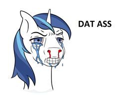 Size: 1244x1024 | Tagged: safe, derpibooru import, edit, shining armor, pony, unicorn, blood, crying, meme, short horn, the ass was fat, wojak