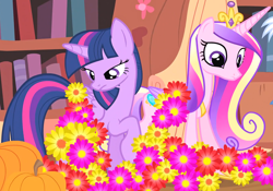 Size: 2090x1461 | Tagged: safe, derpibooru import, screencap, princess cadance, twilight sparkle, twilight sparkle (alicorn), alicorn, pony, three's a crowd, cropped, duo, female, flower, golden oaks library, pumpkin, sisters-in-law