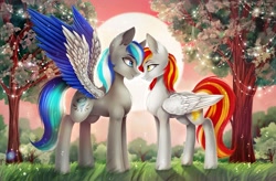 Size: 1280x839 | Tagged: safe, artist:das_leben, derpibooru import, oc, oc:diamond sun, oc:hawker hurricane, pegasus, pony, commission, female, grass, love, male, mare, oc x oc, pegasus oc, romantic, shipping, spread wings, stallion, sun, sunset, tree, wings