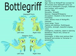 Size: 7458x5477 | Tagged: safe, artist:ethanjacobsyrosca, derpibooru import, oc, oc only, oc:bottlegriff, classical hippogriff, hippogriff, seapony (g4), absurd resolution, crystal, green background, male, recolor, reference sheet, simple background, smiling, solo, vector