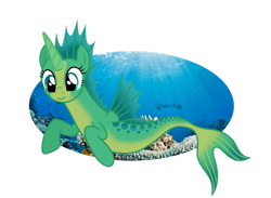 Size: 1280x935 | Tagged: safe, artist:tenderrain46, derpibooru import, oc, oc only, merpony, female, simple background, solo, transparent background