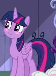 Size: 438x598 | Tagged: safe, derpibooru import, screencap, rarity, twilight sparkle, twilight sparkle (alicorn), alicorn, pony, unicorn, the ending of the end, blushing, cropped