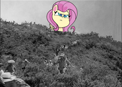 Size: 720x516 | Tagged: safe, derpibooru import, edit, editor:ilovethetalkingclock, fluttershy, human, pegasus, pony, my little pony: pony life, giant pony, giantshy, godzilla (series), macro, parody