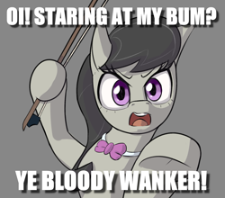 Size: 1955x1719 | Tagged: safe, artist:jellerjar, derpibooru import, edit, octavia melody, earth pony, pony, caption, image macro, octchavia, text, unamused, vulgar, wanker