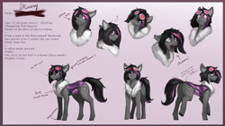 Size: 4000x2250 | Tagged: safe, artist:nsilverdraws, derpibooru import, oc, oc only, oc:mimicry, changeling, original species, female, purple changeling, reference sheet, solo