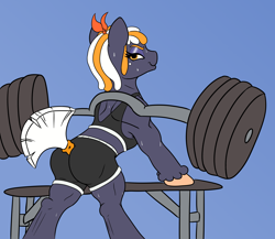 Size: 2550x2210 | Tagged: safe, artist:eow, derpibooru import, dumbbell, oc, oc only, oc:beatrice, earth pony, pony, abstract background, bench, clothes, colored, female, flat colors, gym, looking at you, looking back, mare, muscles, simple background, skintight clothes, spats, strong mare, sweat, tanktop