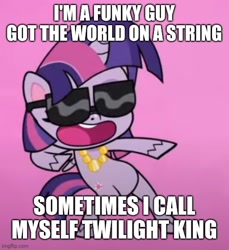 Size: 500x546 | Tagged: safe, derpibooru import, edit, edited screencap, screencap, twilight sparkle, twilight sparkle (alicorn), alicorn, pony, my little pony: pony life, sportacular spectacular musical musak-ular, spoiler:pony life s01e46, bipedal, caption, cropped, dancing, dee dee king, dee dee ramone, female, funky man, image macro, jewelry, necklace, open mouth, pose, solo, sunglasses, text