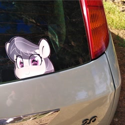 Size: 794x794 | Tagged: safe, artist:partylikeanartist, derpibooru import, octavia melody, earth pony, pony, anime, anime eyes, bumper sticker, car, eye clipping through hair, eyebrows, eyebrows visible through hair, ford, ford focus, irl, looking at you, peeking, photo, solo