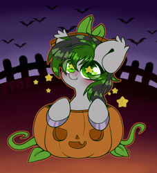 Size: 2000x2200 | Tagged: safe, artist:etoz, derpibooru import, oc, oc only, bat, bat pony, bat pony oc, bat wings, blushing, chibi, commission, cute, fangs, halloween, holiday, male, pumpkin, smiling, stallion, starry eyes, stars, wingding eyes, wings, ych result