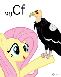 Size: 4000x5000 | Tagged: safe, artist:parclytaxel, derpibooru import, fluttershy, bird, pegasus, pony, series:joycall6's periodic table, .svg available, absurd resolution, california condor, californium, chemistry, condor, female, mare, perching, periodic table, pun, simple background, smiling, solo, vector, visual pun, vulture, white background