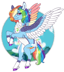 Size: 798x900 | Tagged: safe, artist:malinraf1615, derpibooru import, rainbow dash, pegasus, pony, alternate design, alternate hairstyle, backwards cutie mark, butt fluff, chest fluff, cloud, coat markings, ear fluff, female, flying, hair over one eye, jewelry, leg fluff, mare, necklace, raised hoof, raised leg, redesign, simple background, sky, solo, spread wings, transparent background, unshorn fetlocks, wings