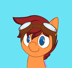 Size: 720x682 | Tagged: safe, artist:inkynotebook, derpibooru import, part of a set, oc, oc only, earth pony, pony, bust, commission, earth pony oc, goggles, signature, simple background, smiling, solo, ych result