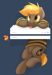 Size: 524x750 | Tagged: safe, artist:braeburned, derpibooru import, oc, oc only, oc:umber, pony, cute, deleted from derpibooru, solo, tumblr