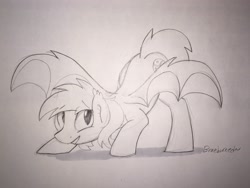 Size: 3018x2264 | Tagged: safe, artist:braeburned, derpibooru import, oc, oc only, oc:qetesh, bat pony, pony, deleted from derpibooru, monochrome, sketch, solo, traditional art