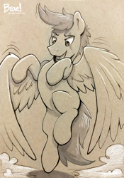 Size: 1257x1800 | Tagged: safe, artist:braeburned, derpibooru import, oc, oc only, pegasus, pony, deleted from derpibooru, male, simple background, solo, traditional art