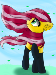 Size: 312x416 | Tagged: safe, derpibooru import, bright eyes, oc, oc:cutie roses, pegasus, pony, beautiful mane, black socks, blue sky, clothes, female, grass, grass field, green eyes, leaf, long mane, looking up, mare, pegasus oc, pink mane, small mare, socks, wind