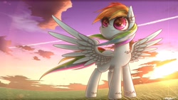 Size: 1920x1080 | Tagged: safe, artist:phoenixrk49, derpibooru import, rainbow dash, pegasus, pony, chest fluff, cloud, feather, grass, sky, sunset, wallpaper, wings