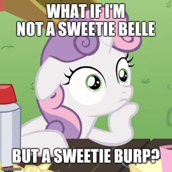 Size: 500x500 | Tagged: safe, derpibooru import, screencap, sweetie belle, pony, unicorn, newborn cuties, ponyville confidential, caption, cropped, exploitable meme, female, filly, horn, image macro, meme, obligatory pony, solo, sudden clarity sweetie belle, sweetie burp, text, two toned mane, white coat, wide eyes