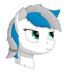 Size: 1280x1440 | Tagged: safe, artist:zocidem, derpibooru import, oc, oc only, oc:benzene, earth pony, pony, bust, digital art, head, portrait, simple background, solo, transparent background