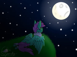 Size: 1600x1200 | Tagged: safe, artist:chu-and-sparky-127, derpibooru import, oc, oc only, oc:firework spark, pegasus, pony, chest fluff, female, full moon, looking up, mare, moon, night, outdoors, pegasus oc, signature, stars, wings