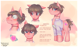 Size: 2360x1447 | Tagged: safe, artist:opossum_imoto, derpibooru import, oc, oc:hibiscus, earth pony, ashamed, blouse, blushing, earth pony oc, flower, hibiscus, reference sheet