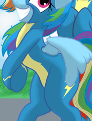 Size: 768x1016 | Tagged: safe, artist:theroyalprincesses, derpibooru import, edit, rainbow dash, soarin', pegasus, pony, belly, bipedal, clothes, cropped, female, flirting, grin, hooves together, male, offscreen character, pictures of bellies, shipping, smiling, soarindash, solo focus, straight, uniform, wings, wonderbolts uniform