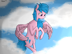 Size: 2000x1500 | Tagged: safe, artist:uteuk, derpibooru import, firefly, pegasus, g1, cloud, sky, wings