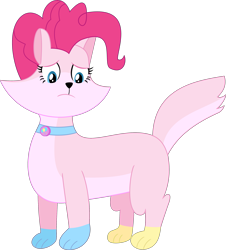 Size: 2237x2470 | Tagged: safe, artist:dupontsimon, derpibooru import, pinkie pie, cat, fanfic:magic show of friendship, catified, collar, cutie mark collar, fanfic art, pinkie cat, simple background, solo, species swap, transformation, transparent background, vector