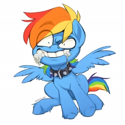 Size: 2048x2048 | Tagged: safe, artist:hattiezazu, derpibooru import, rainbow dash, pegasus, pony, collar, foaming at the mouth, simple background, solo, white background