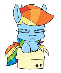 Size: 921x1100 | Tagged: safe, artist:dacaoo, derpibooru import, rainbow dash, pegasus, pony, box, cheek fluff, chest fluff, pony in a box, simple background, solo, white background