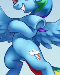 Size: 747x940 | Tagged: safe, artist:luciferamon, derpibooru import, edit, rainbow dash, pegasus, pony, backwards cutie mark, belly, bipedal, cropped, crossed hooves, featureless crotch, frog (hoof), grin, pictures of bellies, smiling, solo, underhoof