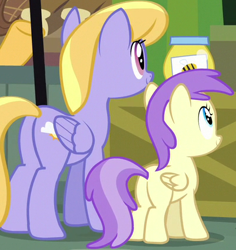 Size: 401x425 | Tagged: safe, derpibooru import, screencap, cloud kicker, pluto, princess erroria, pegasus, pony, the perfect pear, 4chan, butt, cropped, female, filly, mare, plot