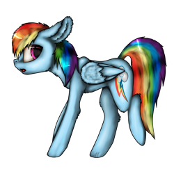 Size: 1000x1000 | Tagged: safe, artist:11-shadow, derpibooru import, rainbow dash, pegasus, pony, big ears, female, fluffy, simple background, solo, transparent background