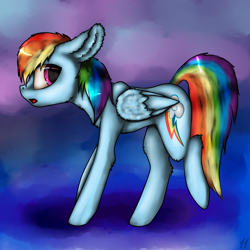 Size: 1000x1000 | Tagged: safe, artist:11-shadow, derpibooru import, rainbow dash, pegasus, pony, big ears, female, fluffy, solo