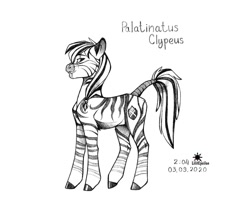 Size: 1280x1139 | Tagged: safe, artist:lilitepsilon, derpibooru import, oc, oc:palatinatus clypeus, zebra, eye scar, male, scar, sketch, solo, time, watermark, zebra oc