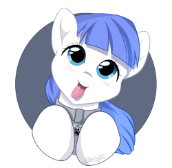 Size: 2058x2000 | Tagged: safe, artist:starlight, derpibooru import, oc, oc only, oc:snow pup, pony, :p, blushing, bust, collar, happy, head tilt, panting, pet tag, portrait, simple background, solo, tongue out, transparent background