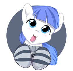 Size: 2058x2000 | Tagged: safe, alternate version, artist:starlight, derpibooru import, oc, oc:snow pup, pony, :p, blushing, bust, clothes, collar, cute, happy, head tilt, panting, pet tag, portrait, simple background, socks, solo, striped socks, tongue out, transparent background