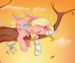 Size: 2048x1724 | Tagged: safe, artist:emberslament, derpibooru import, oc, oc only, oc:bay breeze, pegasus, pony, bow, clothes, cute, female, mare, sleeping, socks, solo, striped socks, tail bow, tree branch, wings
