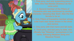 Size: 1920x1080 | Tagged: safe, derpibooru import, edit, edited screencap, editor:jaredking203, screencap, meadowbrook, earth pony, pony, a health of information, facts, female, mare, solo