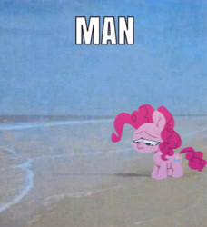 Size: 3186x3500 | Tagged: safe, artist:jimmyjamno1, derpibooru import, pinkie pie, earth pony, pony, beach, blurry, caption, chibi, female, frown, image macro, irl, lidded eyes, looking down, mare, meme, ocean, photo, ponified animal photo, ponified meme, sad, solo, text