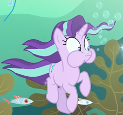 Size: 1154x1081 | Tagged: safe, derpibooru import, screencap, starlight glimmer, fish, pony, unicorn, every little thing she does, bubble, female, holding breath, mare, puffy cheeks, seaweed, solo, underwater, water, wide eyes