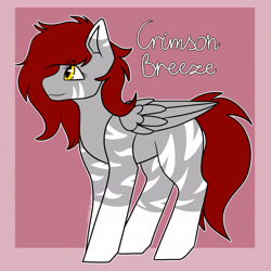 Size: 2449x2449 | Tagged: safe, artist:crimson-breeze, derpibooru import, oc, oc only, oc:crimson breeze, pegasus, pegasus oc, solo, wings