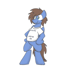 Size: 2000x2000 | Tagged: safe, artist:sugar morning, derpibooru import, oc, oc only, oc:bizarre song, pegasus, pony, bipedal, clothes, folded wings, happy, high res, male, meme, messy mane, nudity, shirt, simple background, smiling, solo, stallion, standing, t-shirt, white background, wings