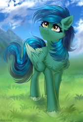Size: 2500x3700 | Tagged: safe, artist:hakaina, derpibooru import, oc, oc only, oc:distant skies, pegasus, chest fluff, commission, looking up, scenic background, solo, ych result